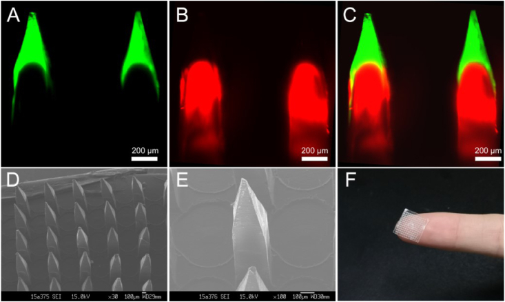 Fig. 2