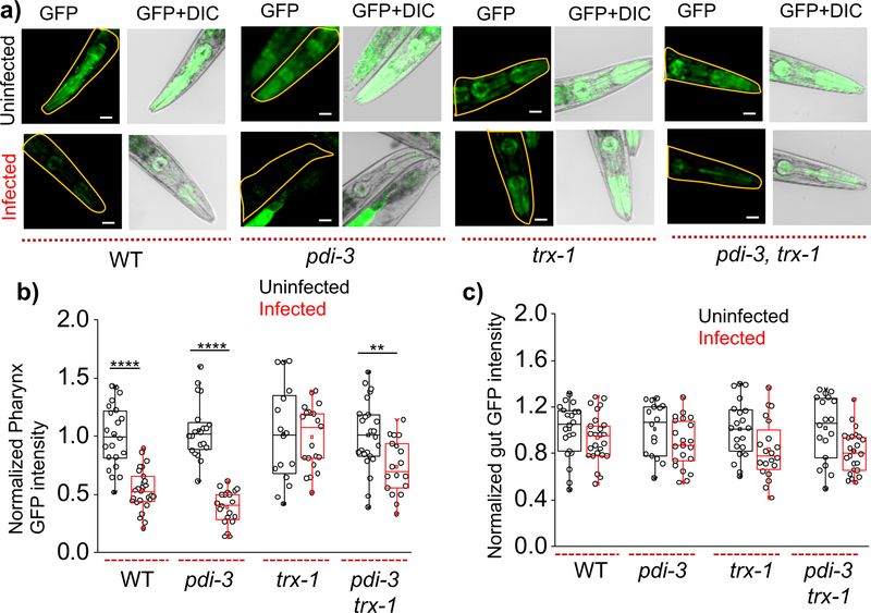 Figure 4: