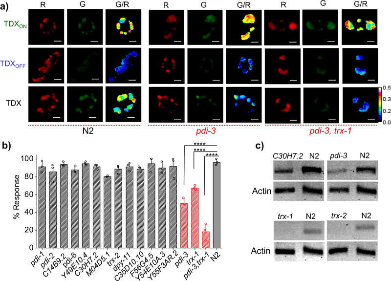 Figure 3: