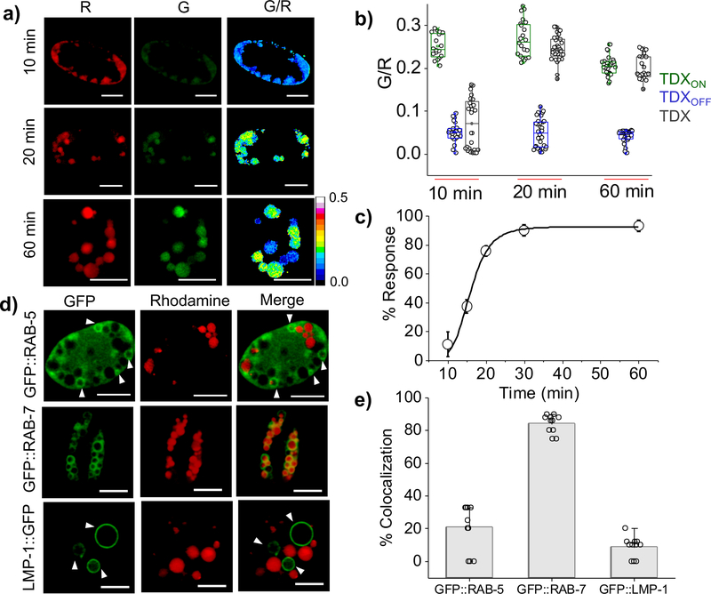 Figure 2: