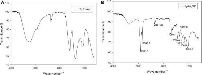 FIGURE 3