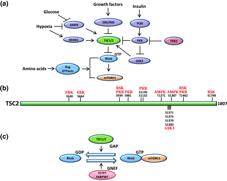 Fig. 2