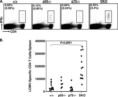 FIG. 9.