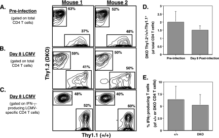 FIG. 7.