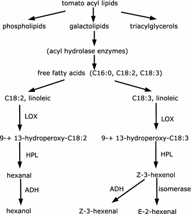 Fig. 6