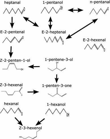 Fig. 7