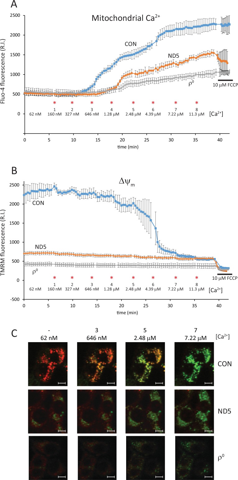 Fig 4