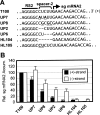 FIG. 7.