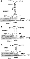 FIG. 9.