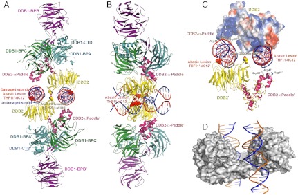 Fig. 2.