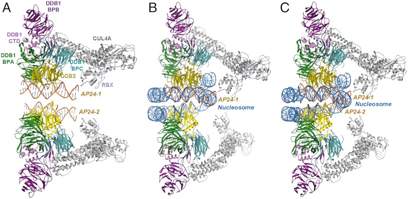 Fig. 4.