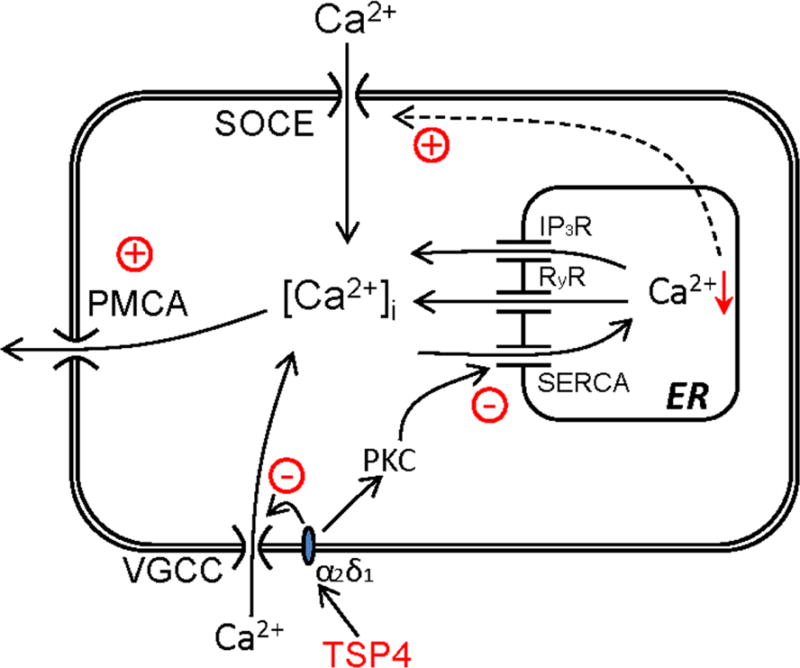 Fig. 11