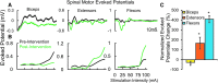 <b>Fig. 5.</b>