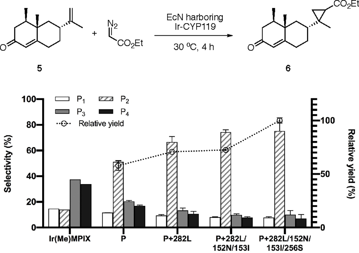 Figure 4.