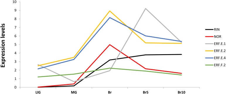 Figure 5.