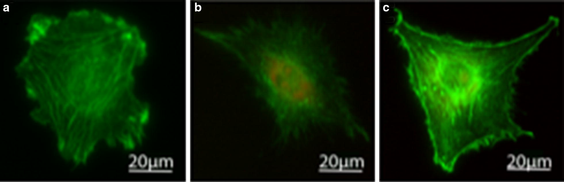 Fig. 4