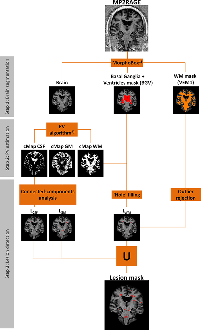 Figure 1 -