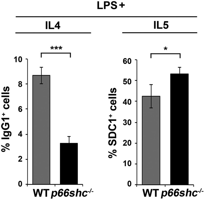 Figure 11.