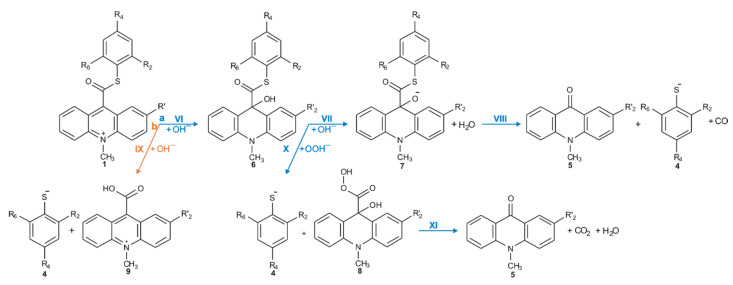 Scheme 5