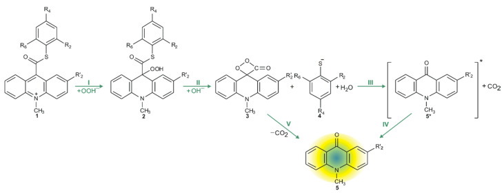 Scheme 4