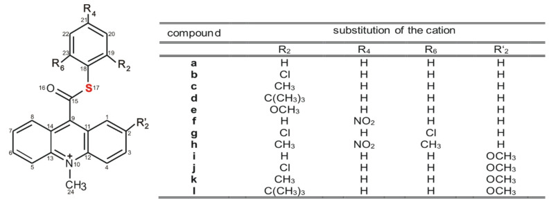 Scheme 3