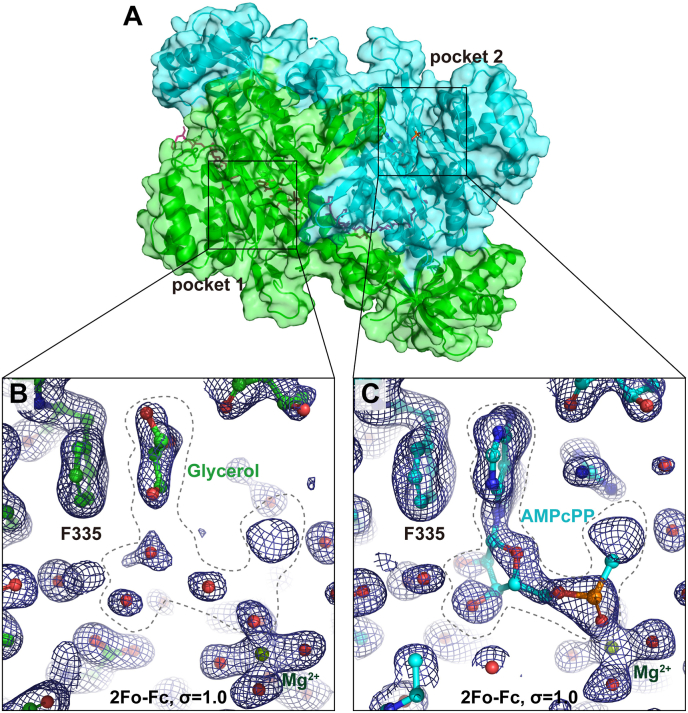 Fig. 1