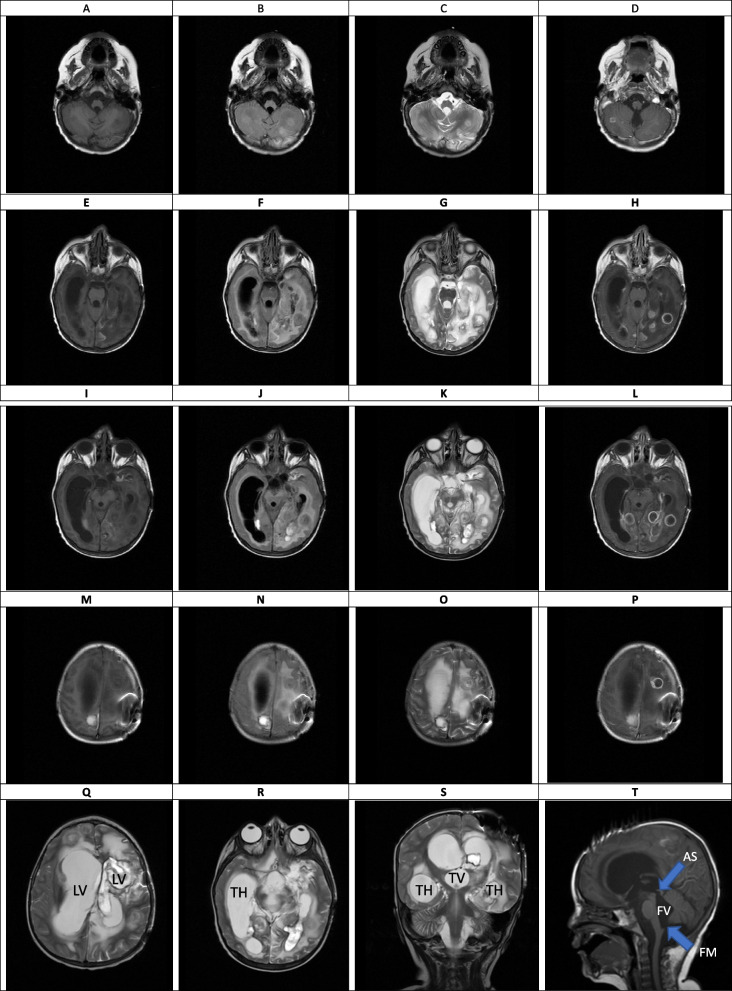Fig. 6