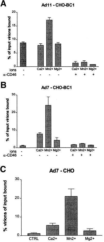 FIG. 5.