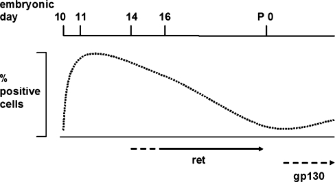 Fig. 5