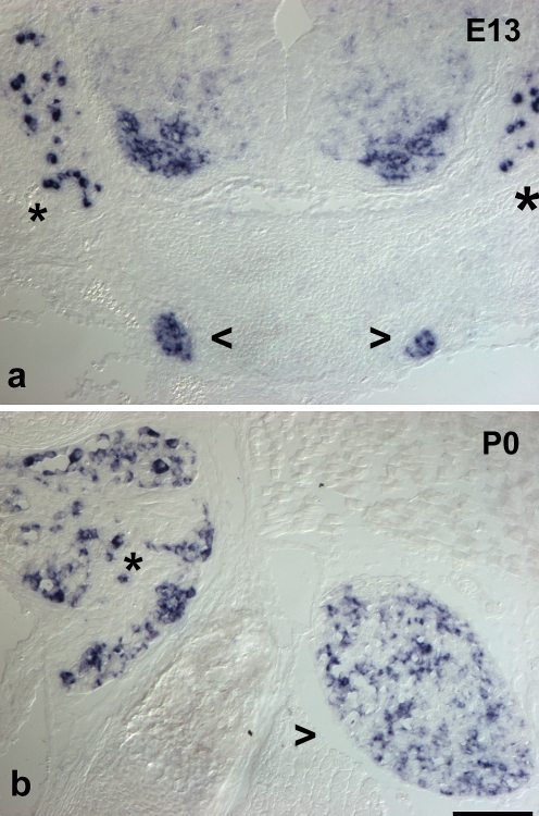 Fig. 2