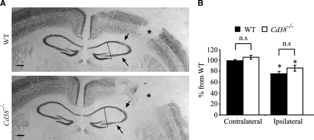 FIG. 5.