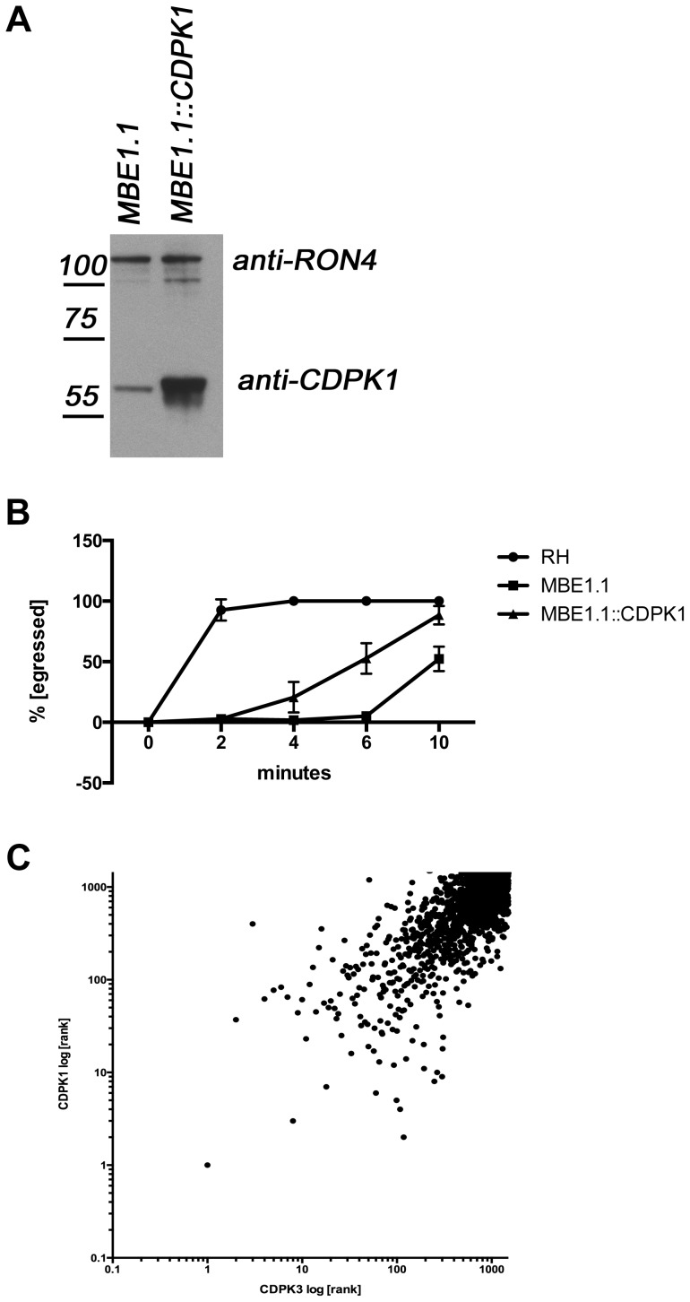 Figure 5