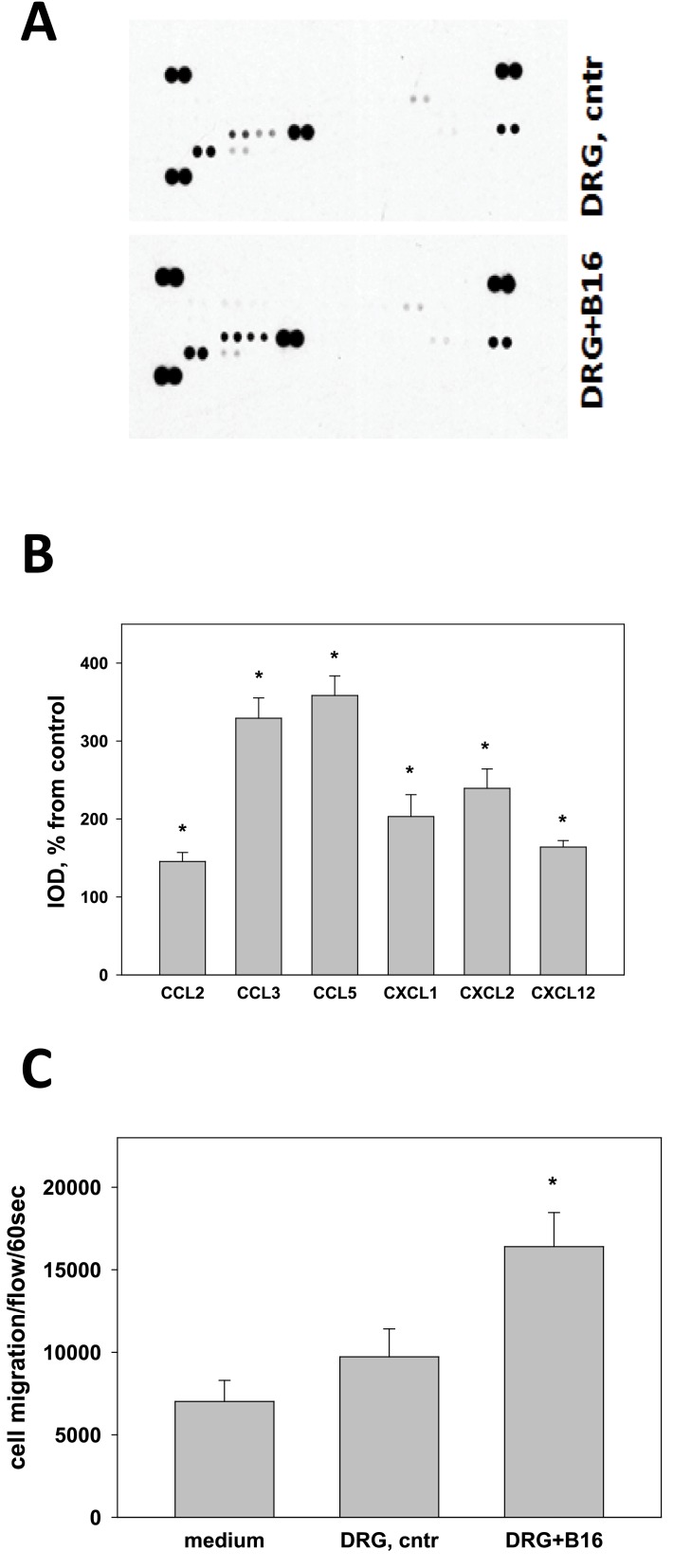 Fig 5