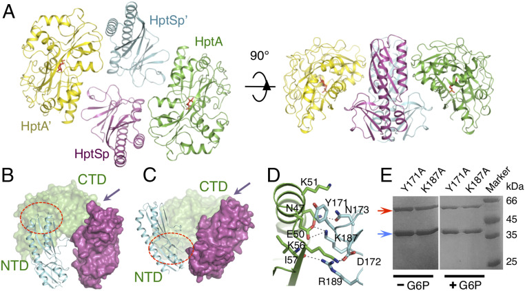 Fig. 4.