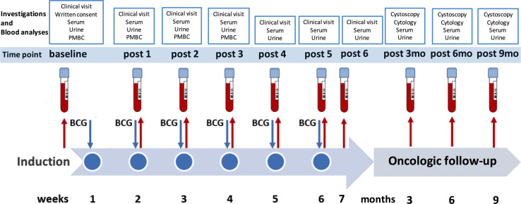 Fig. 1