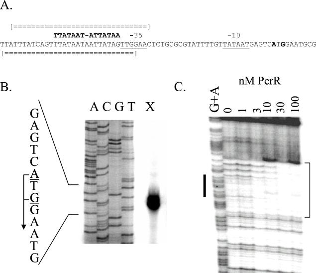 FIG. 2.