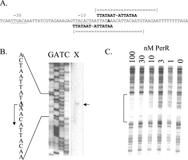 FIG. 1.