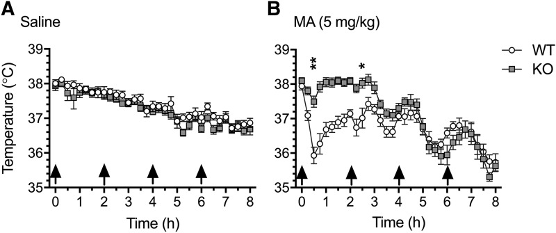 Fig. 5.