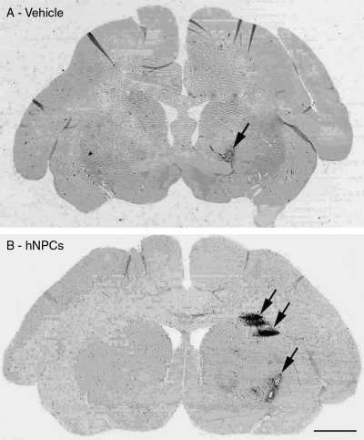 FIG. 6.