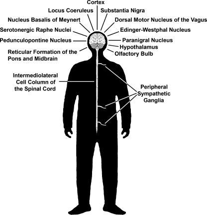 FIG. 1.