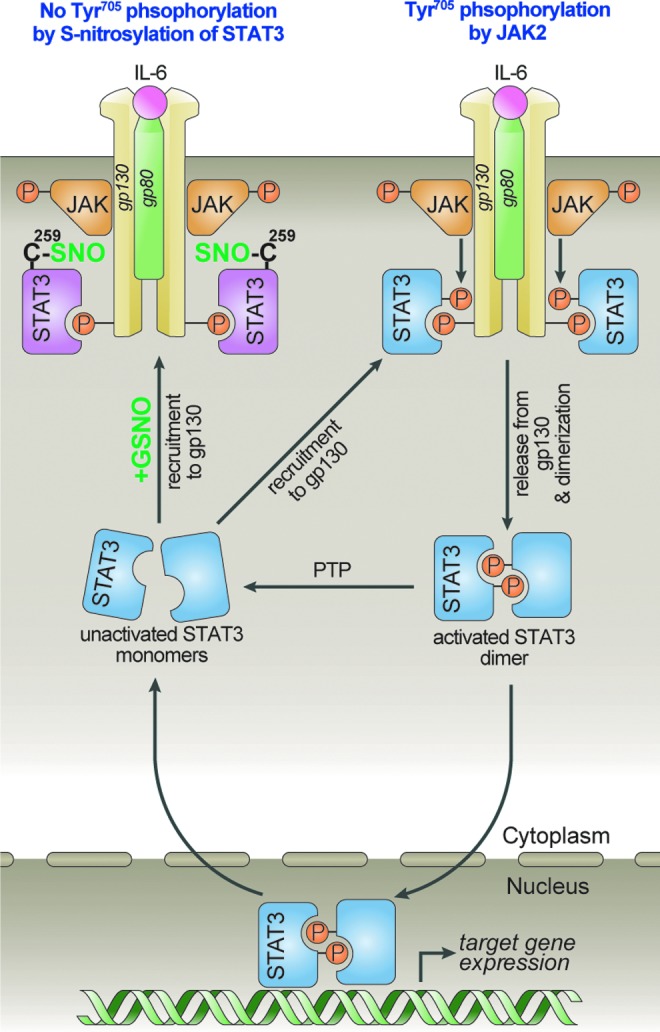 FIG. 8.