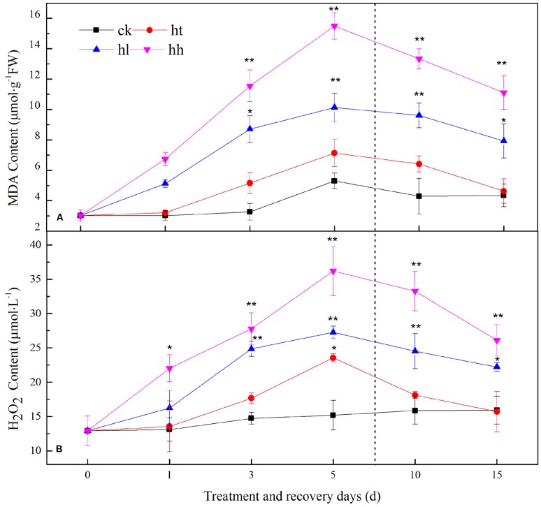 FIGURE 9