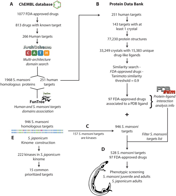 Fig 1