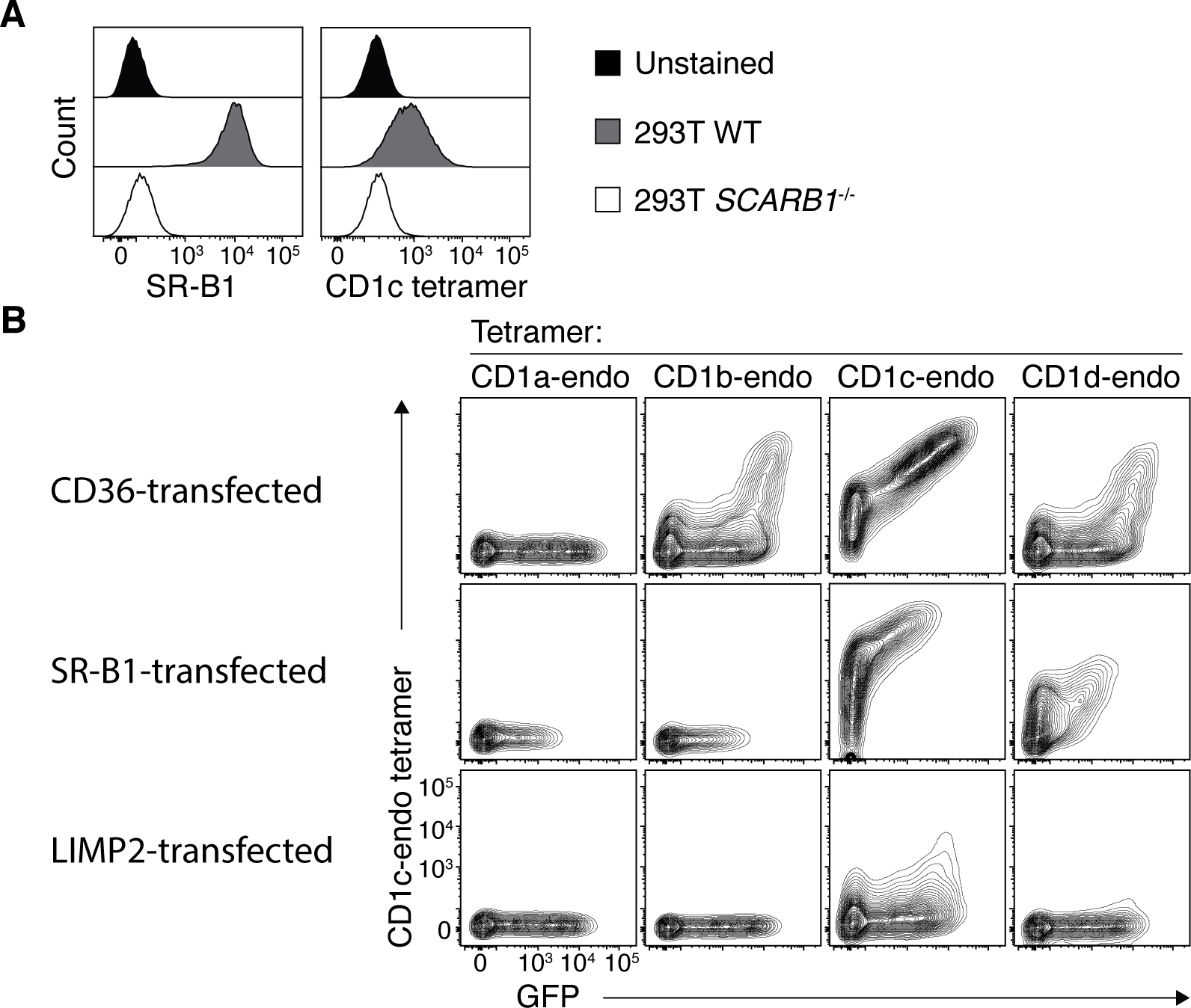 Figure 3: