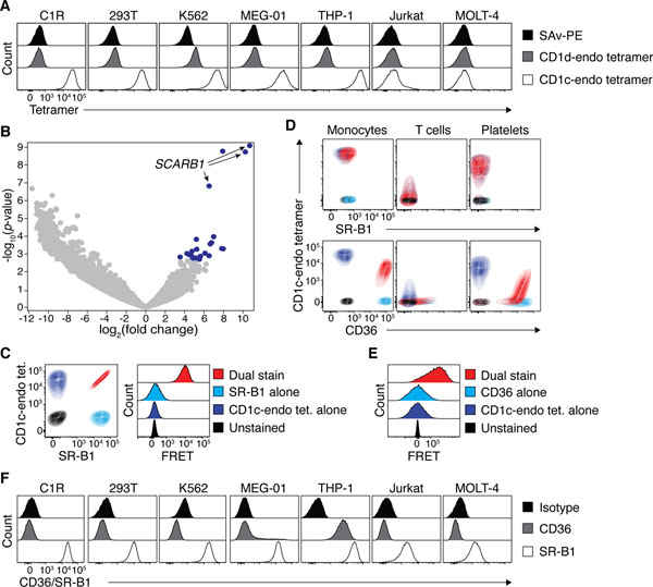 Figure 2: