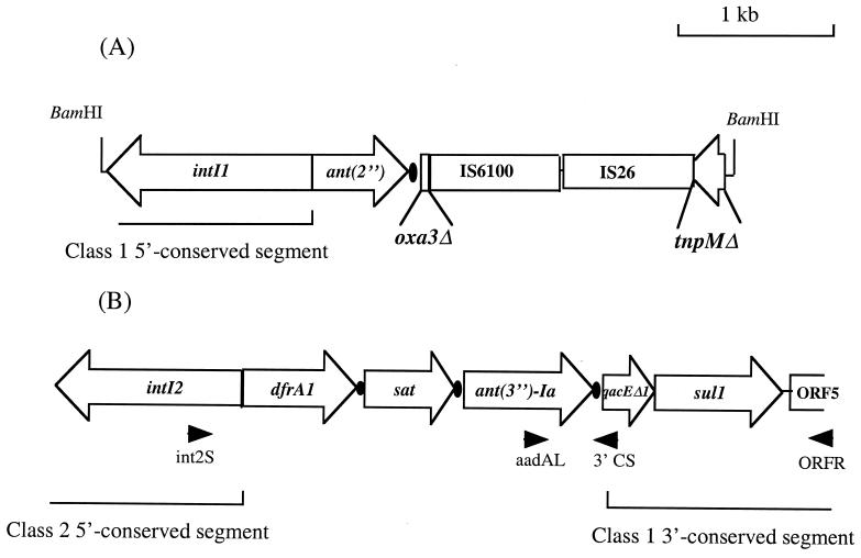 FIG. 1