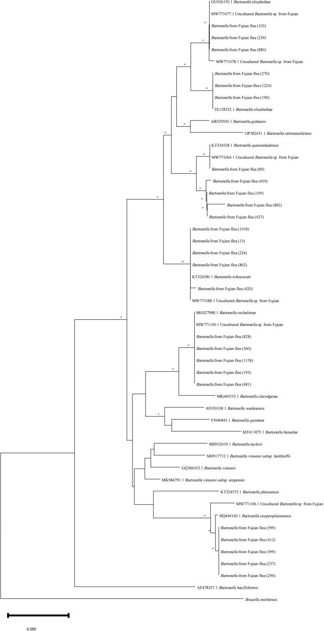 Fig. 4