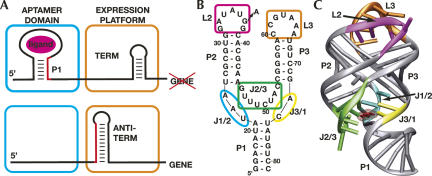 FIGURE 1.