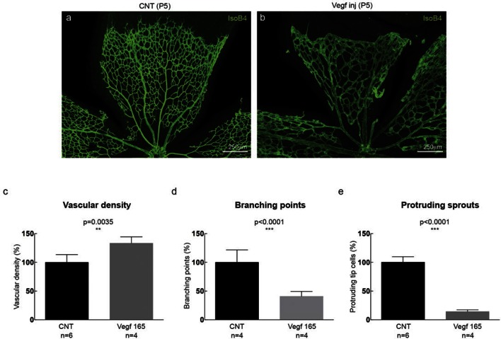 Figure 5—figure supplement 3.