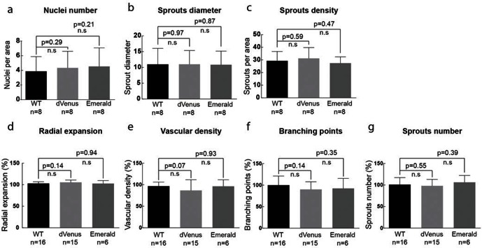 Figure 2—figure supplement 2.